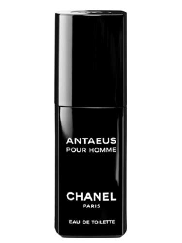 antaeus perfume